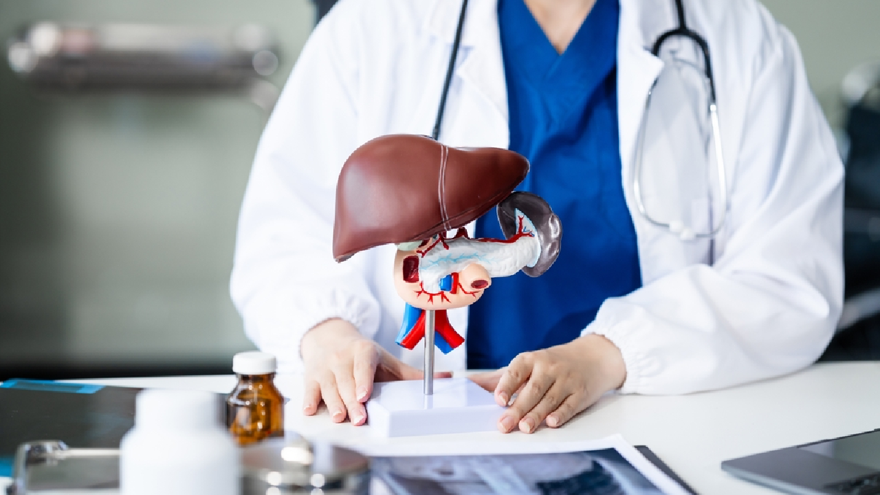 Liver and Pancreatic Surgery